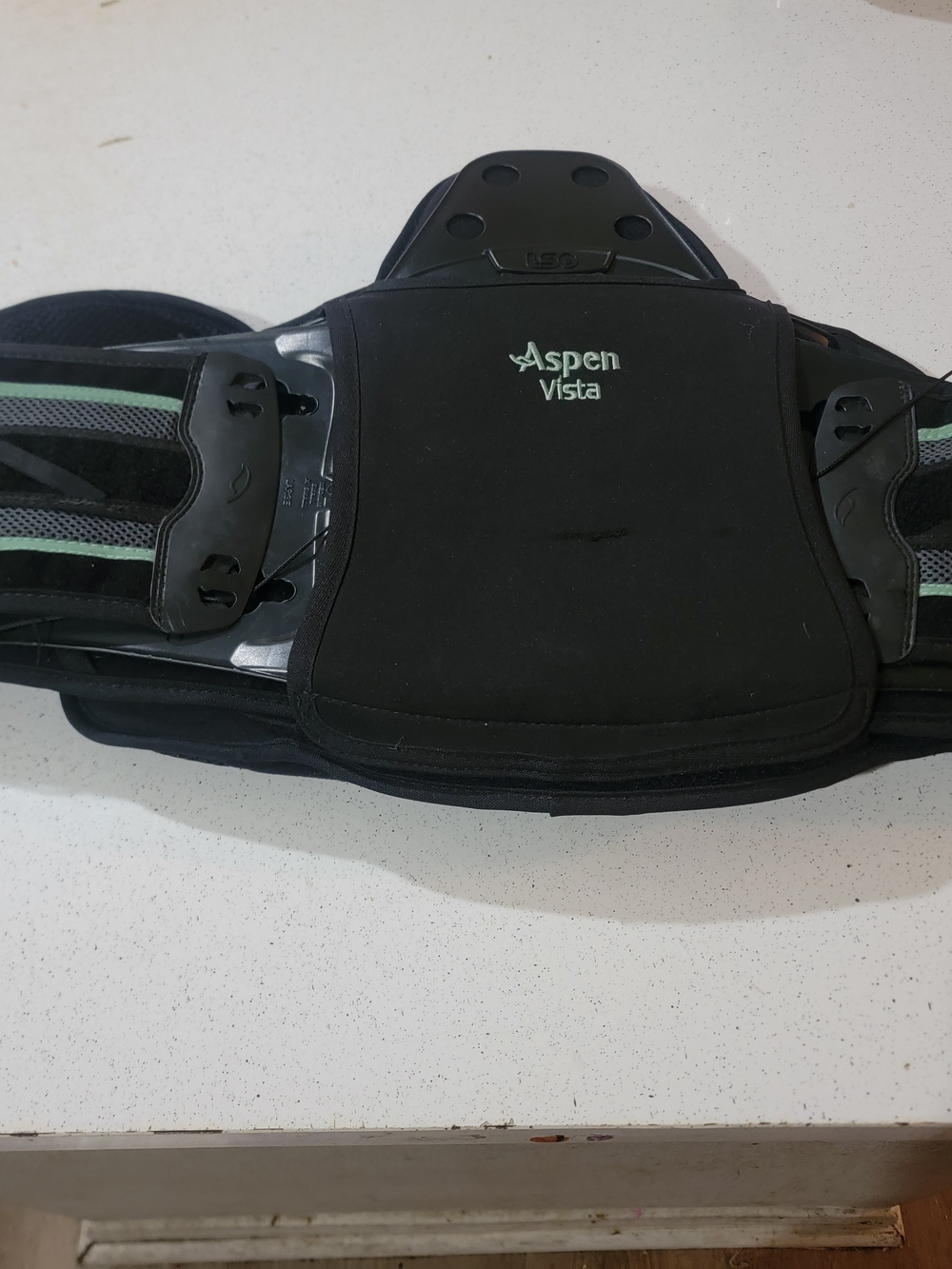 Aspen Vista Lumbar Support Belt Back Brace, Large, Black, Adjustable